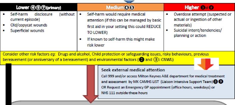 Flowchart of actions following assessment as ‘Higher Risk’