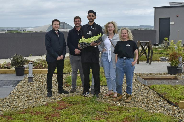 National Green Roof Day