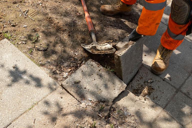 Lloyds Court tree pits maintenance work