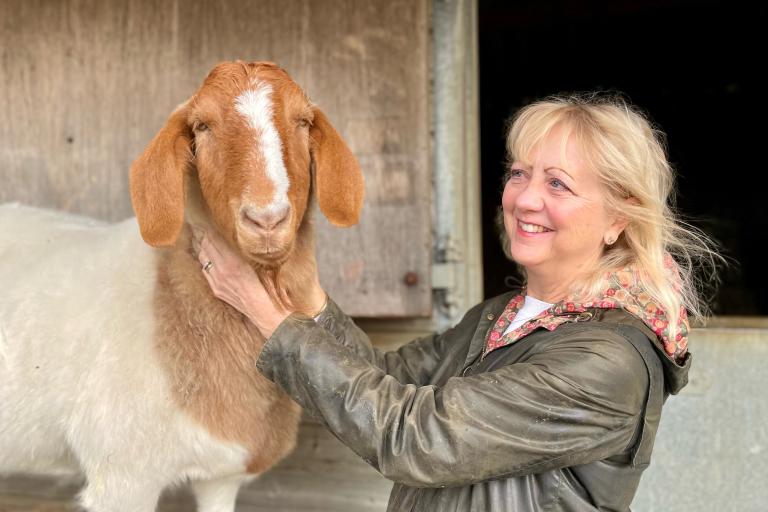 Cllr Zoe Nolan with a donkey at Petite Ponies