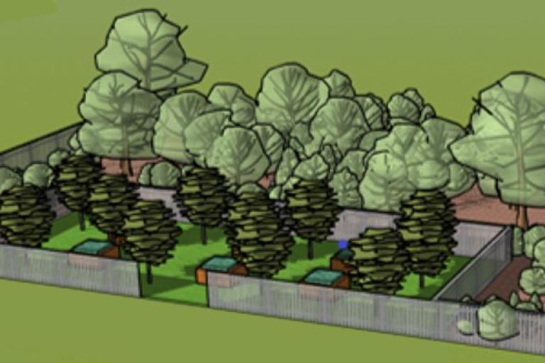 Forest garden