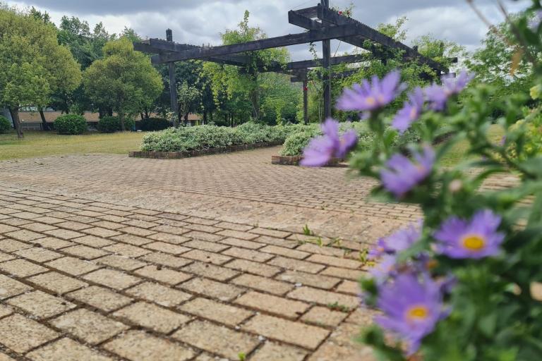 Fred Roche Gardens