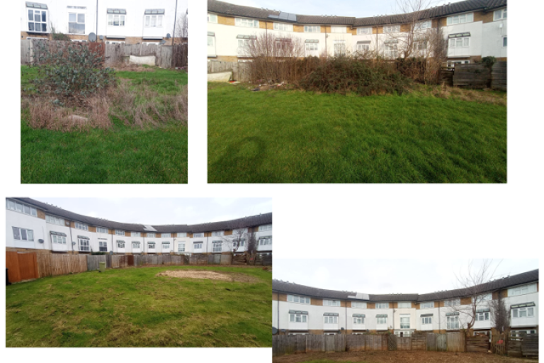 Landscape before and after ground maintenance work