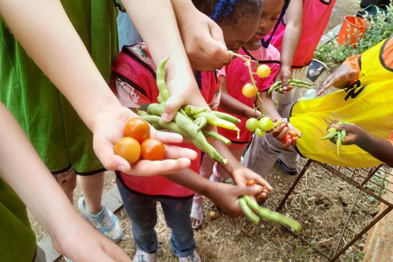 Children showing crops they have harvested 