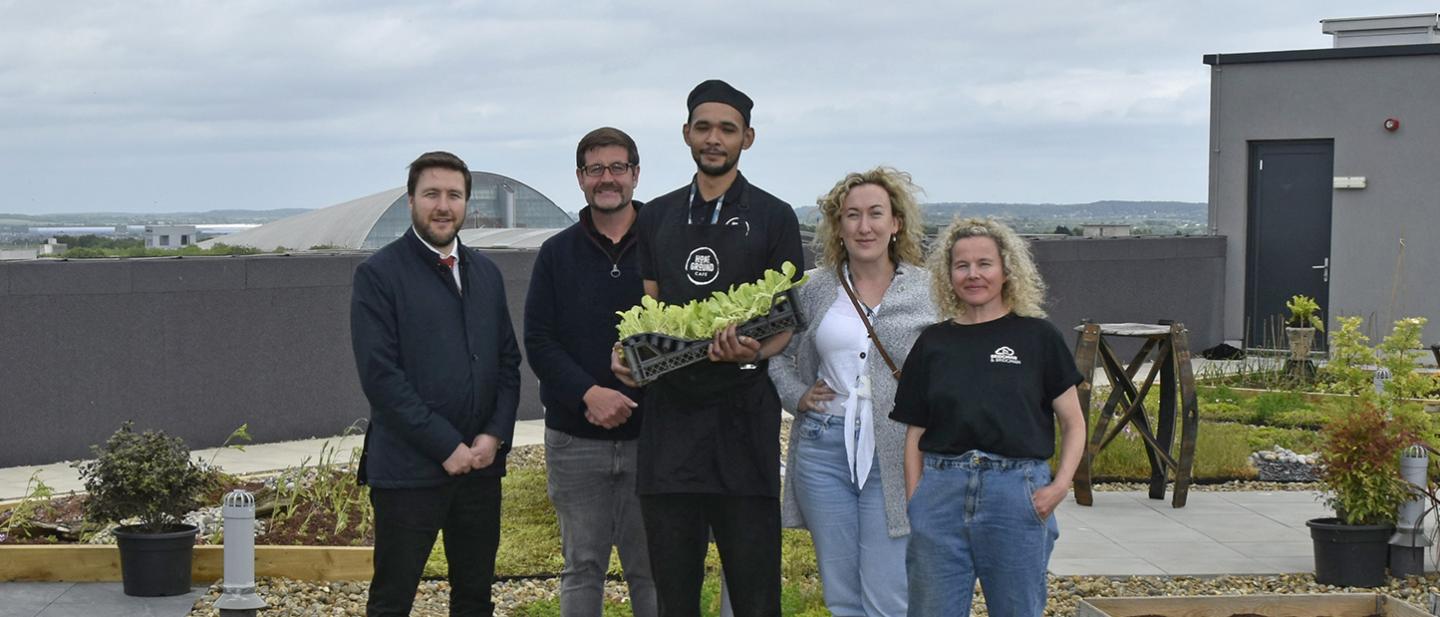 National Green Roof Day